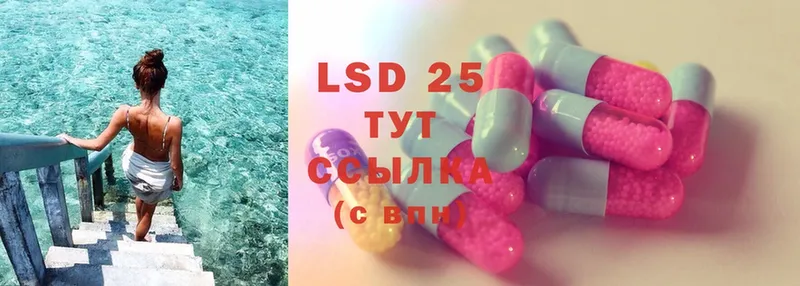 ЛСД экстази ecstasy  магазин  наркотиков  Ржев 